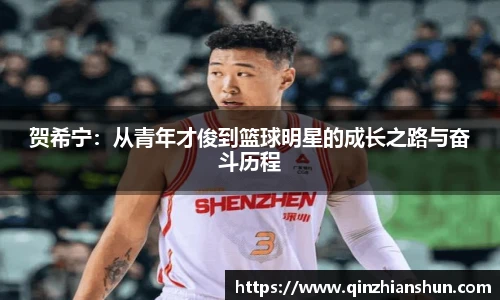 贺希宁：从青年才俊到篮球明星的成长之路与奋斗历程