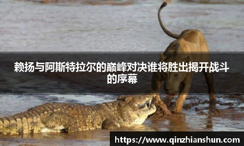 今年会官网